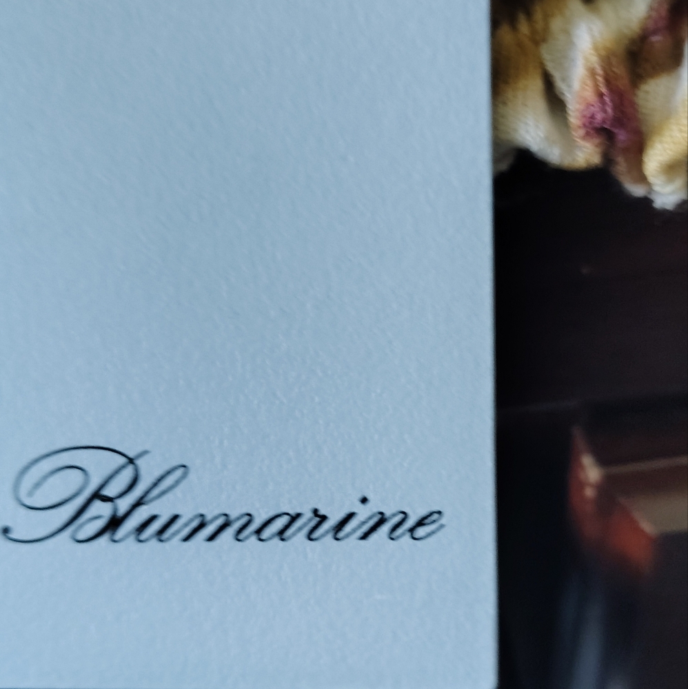 Ladies Blumarine Knit like Top MAKE A REASONABLE OFFER